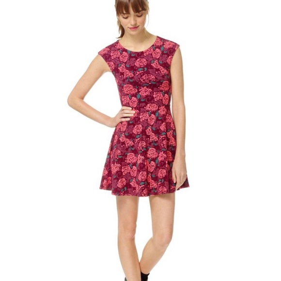 Aritzia Floral Palmetto Dress - Picture 2 of 5